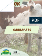 E-Book Fim Dos Carrapato