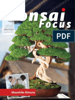 Bonsai Focus 2017-11-12