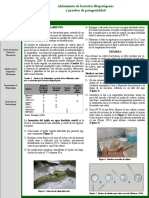 FT. Aislamiento de Bacterias Fitopat Genas y Pruebas de Patogenicidad 1.0 2020