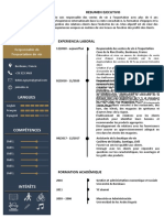 Modele CV Word Gratuit 22