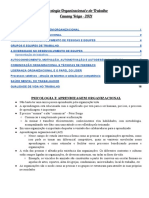 Psicologia Organizacional e Do Trabalho - Cauany Veiga