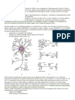 Lezione 06-Fisiologia