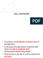 Cell Division