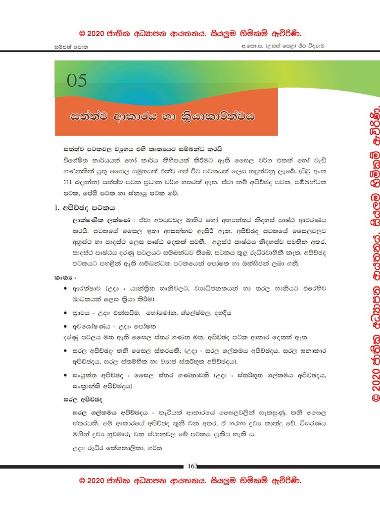 Unit 05 Part 1-Animal Form and Function | PDF