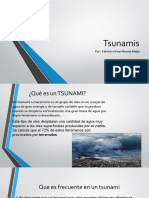 Exposicion Tsunamis