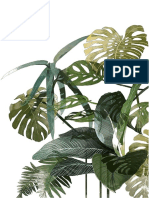 planta de palma