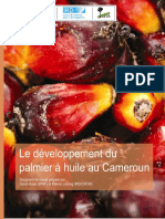 Le Développement Du Palmier À Huile Au Cameroun: Avril Rapport