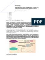 Lesiones Elementales Primarias