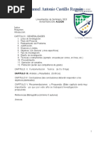 Lineamientos de Proyecto Investigación Acción 2023