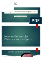 Correlación Lesiones Elementales Clínicas y Microscópicas