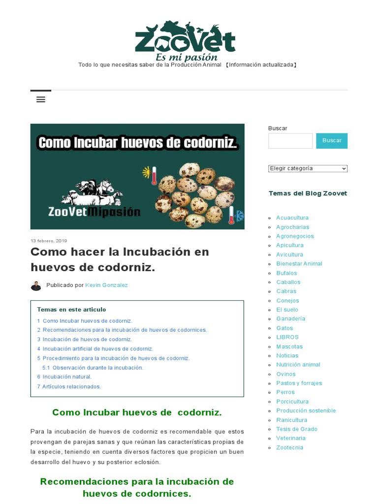 Guía de Incubación de Huevos de Codorniz | PDF | Pollo | Aves