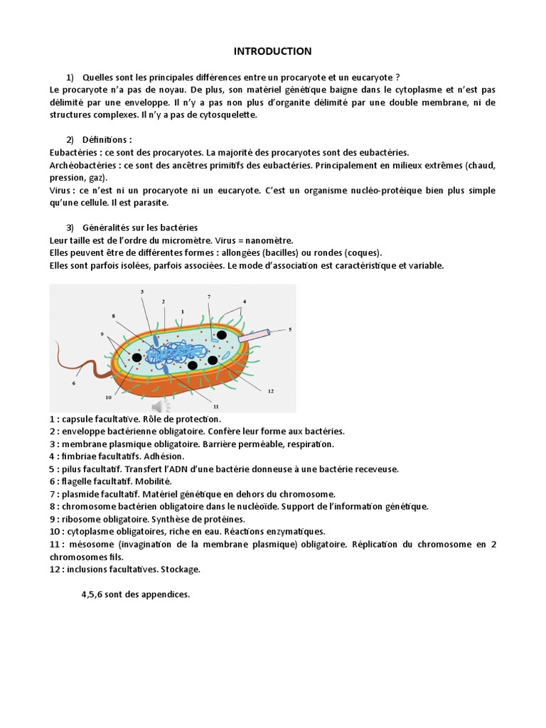 Cours Entier | PDF | Bactérie | Prokaryota