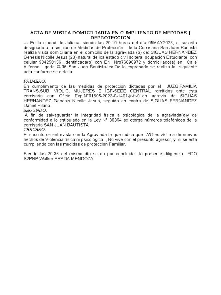 Formato de visita por medida de proteccion pdf