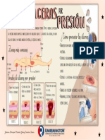Infografia Ulceras Por Presion