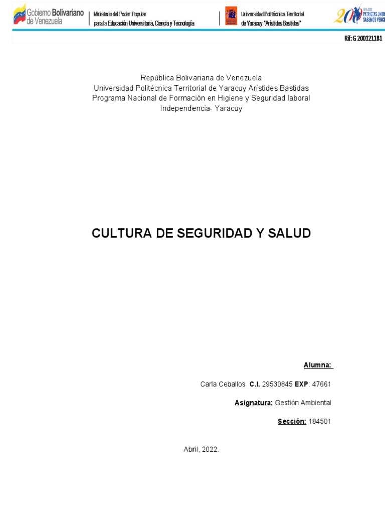 Cultura de Seguridad en el Trabajo | PDF | Comportamiento | Sicología