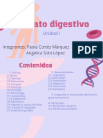 Presentación Biología Cuerpo Humano Células Orgánico Ilustrado Rosa y Lila