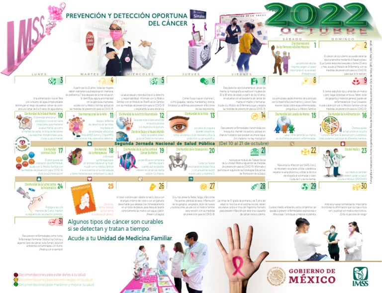 CalendarioSalud IMSS PDF Cáncer Epidemiología
