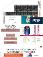 Anatomia Venosa de Mi