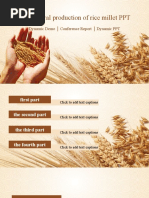 Agricultural Production, Rice Harvesting, Rice Cultivation