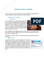 Magnitudes Escalares y Vectoriales-3