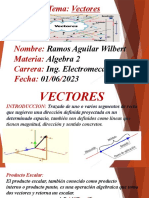 Expocicion de Vectores