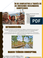 Exposicion-La Resolucion de Conflictos A Traves de Los Pueblos Originarios Campesinos