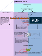 Synthèse La Cellule