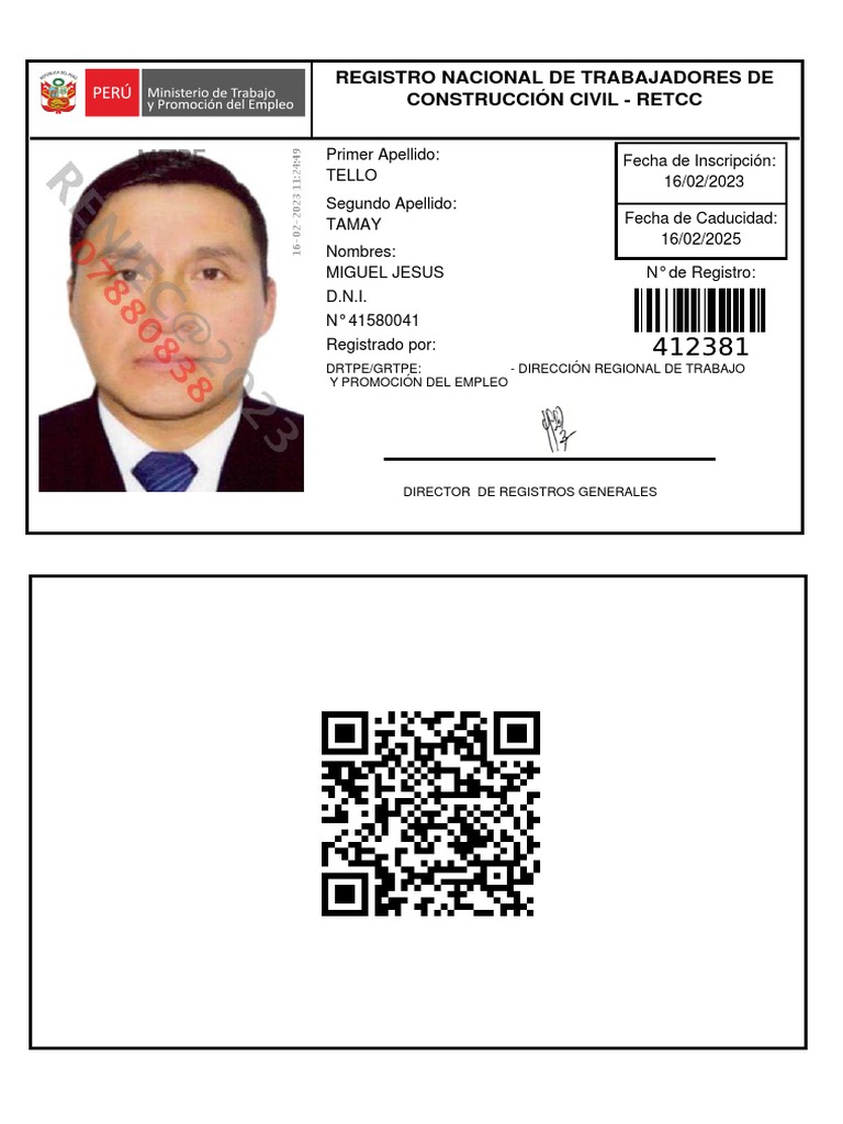 Carnet Retcc - Tello Tamay Miguel | PDF