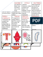 Trabajo Tecnología (8vo B, CS)