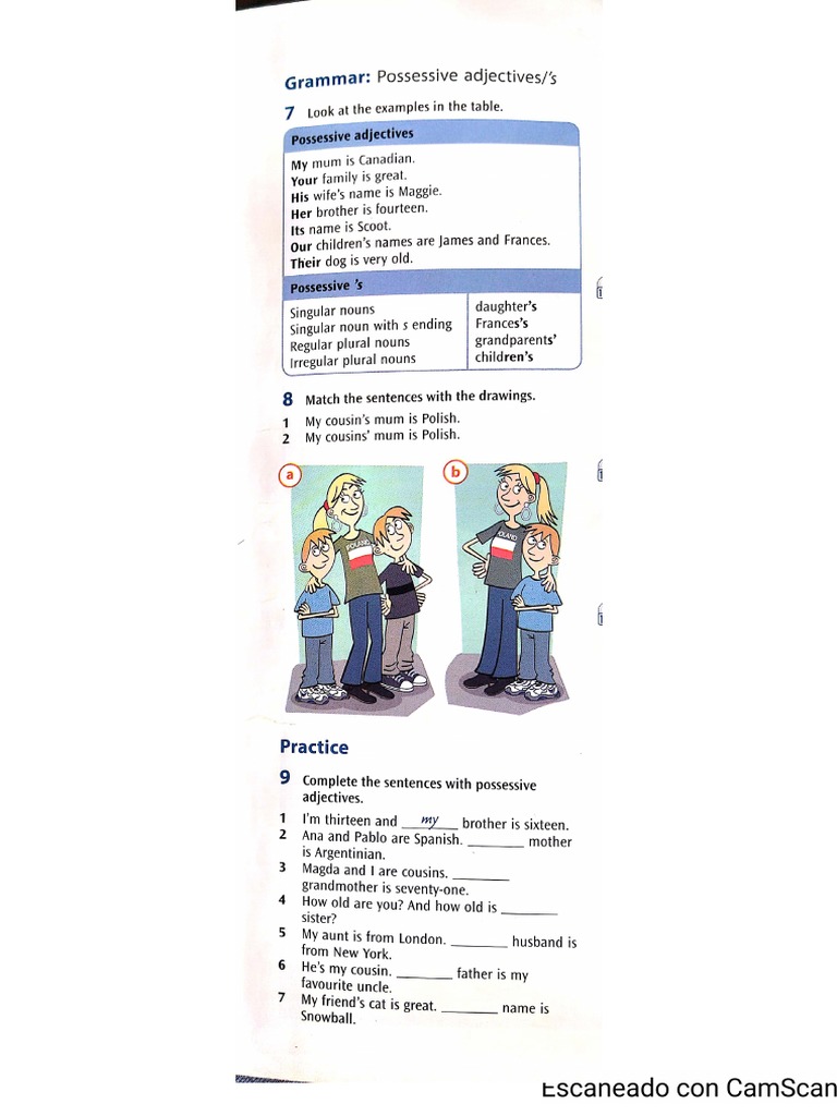 Possessive Adjectives Exercise 3 - Página 1 | PDF