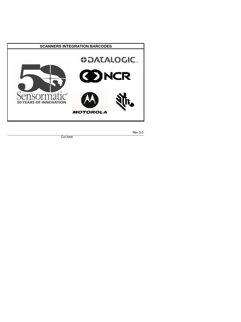 Barcodes Ver 3 | PDF