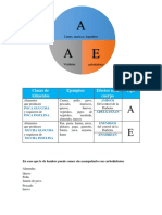 Plan de Alimentacion