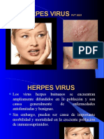 Herpes Virus 2023