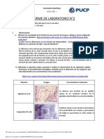 PL2 Sofia Franco PDF
