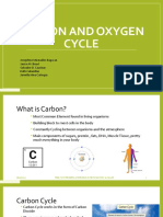 Carbon and Oxygen Cycle