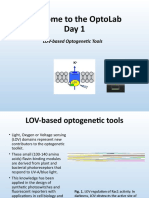LOV-based Optogenetic Tools