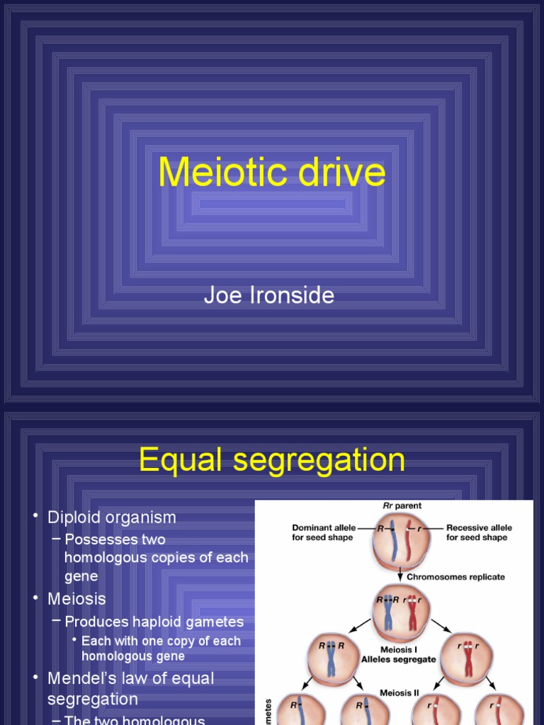 Meiotic Drive PDF Meiosis Sperm