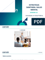 Estrategia Sanitaria Salud Mental Clase 18 Salud Publica