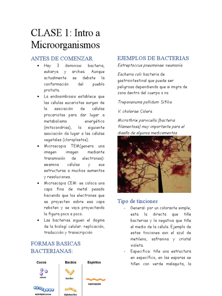 Introducción a Microorganismos y Virus | PDF | Virus | Las bacterias