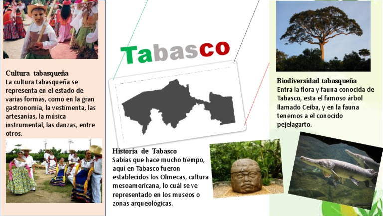Cartel de Tabasco | PDF