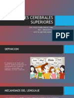 Funciones Cerebrales Superiores