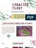 Helicobacter Pylory: "Inflamación Crónica"