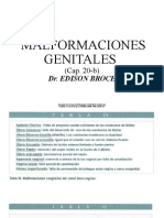 Malformaciones Genitales (Cap 20-b) .