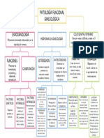 Patología Funcional Ginecológica Mapa 4