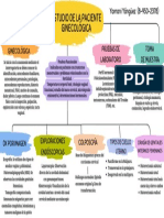 Estudio de La Paciente Ginecológica Mapa 2