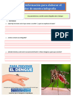 Ficha Dengue