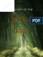 Mystery of The Brown Bag