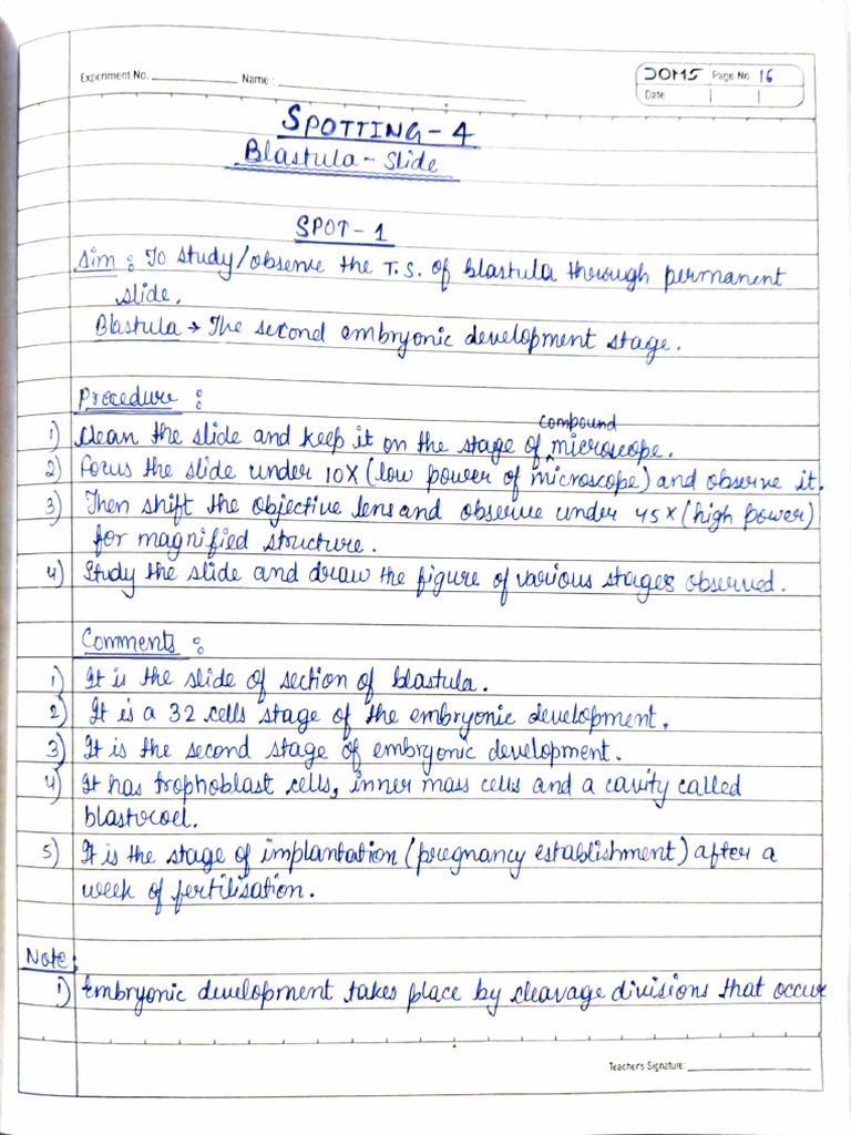 GRADE 12 BIOLOGY PRACTICALS intelligence overview