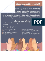 Causas de La Discriminación Racial