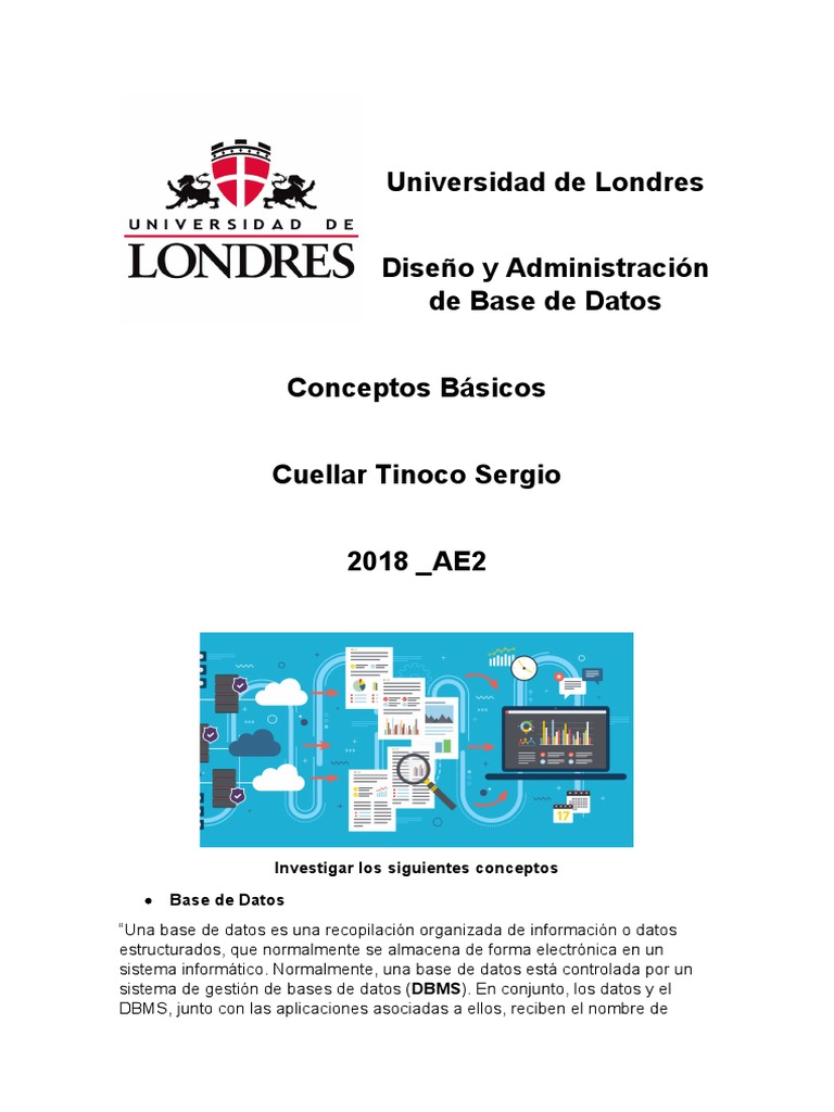 Conceptos Básicos Base de Datos | PDF | Bases de datos | Base de datos ...